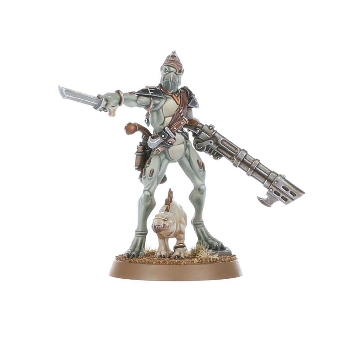 T'au Empire: Kroot Carnivore Squad