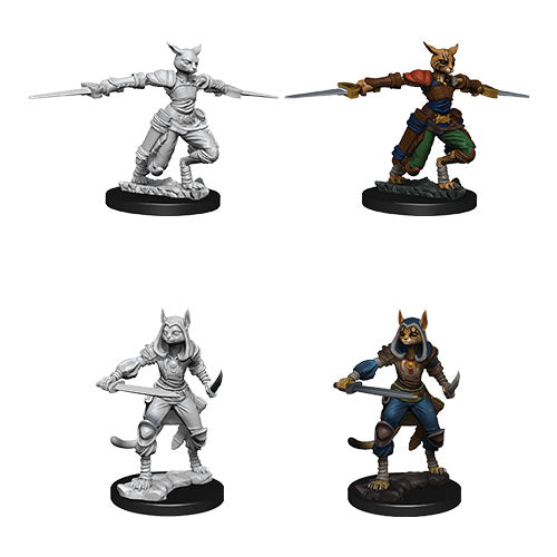D&D Nolzur's Marvelous Miniatures: Female Tabaxi Rogue