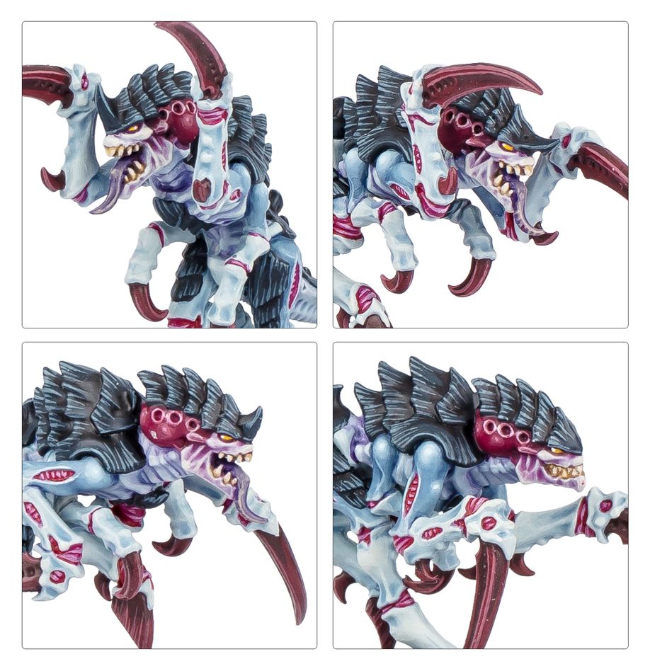 Kill Team: Typhon