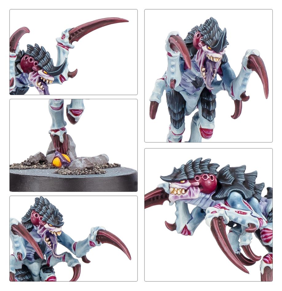 Kill Team: Typhon