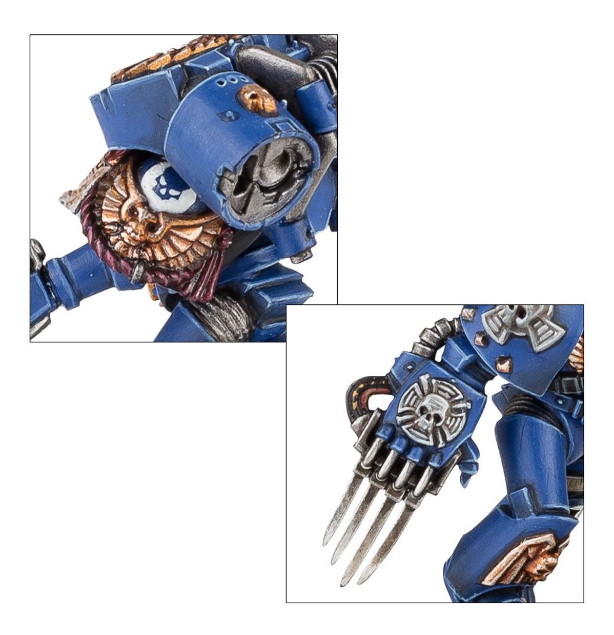 Space Marines: Vanguard Veteran Squad