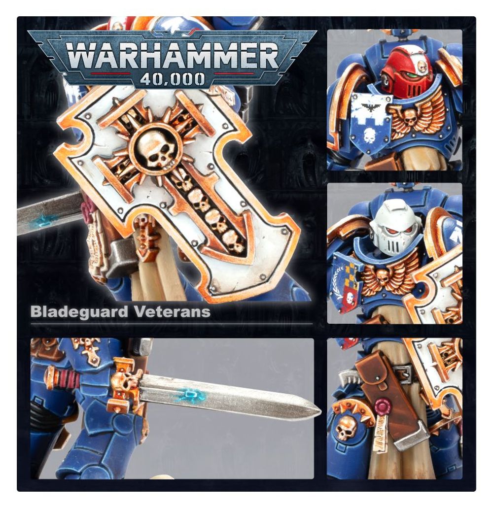 Space Marines: Bladeguard Veterans