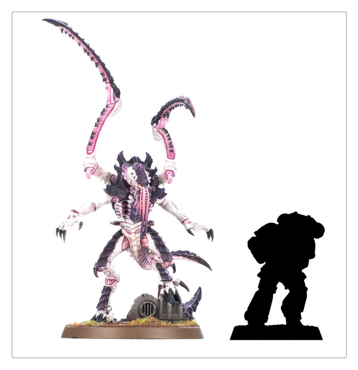 Tyranids: Lictor