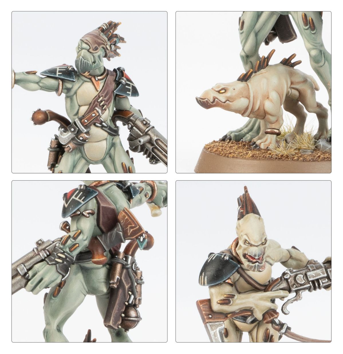 T'au Empire: Kroot Carnivore Squad