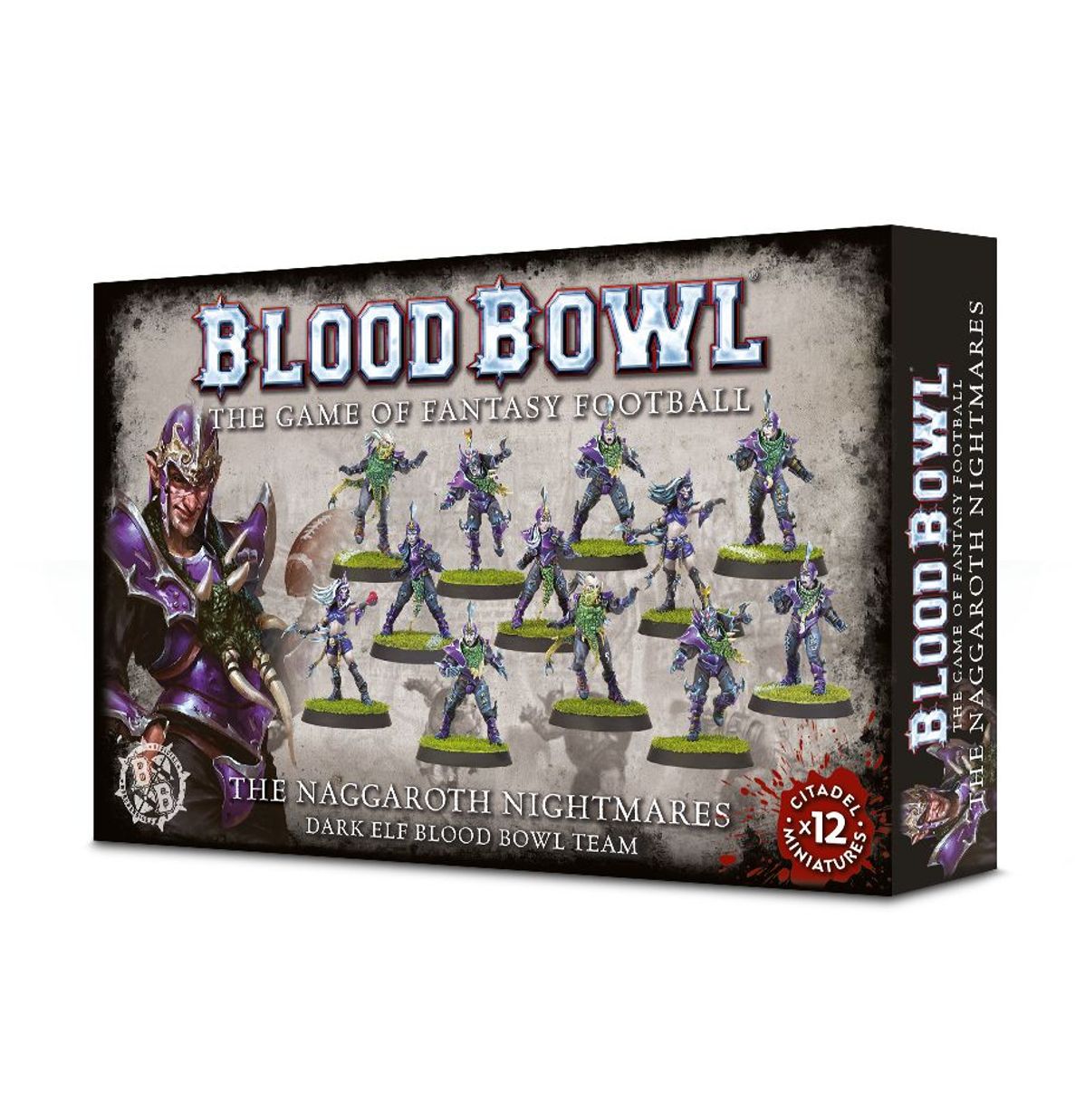 Blood Bowl: Dark Elf Team
