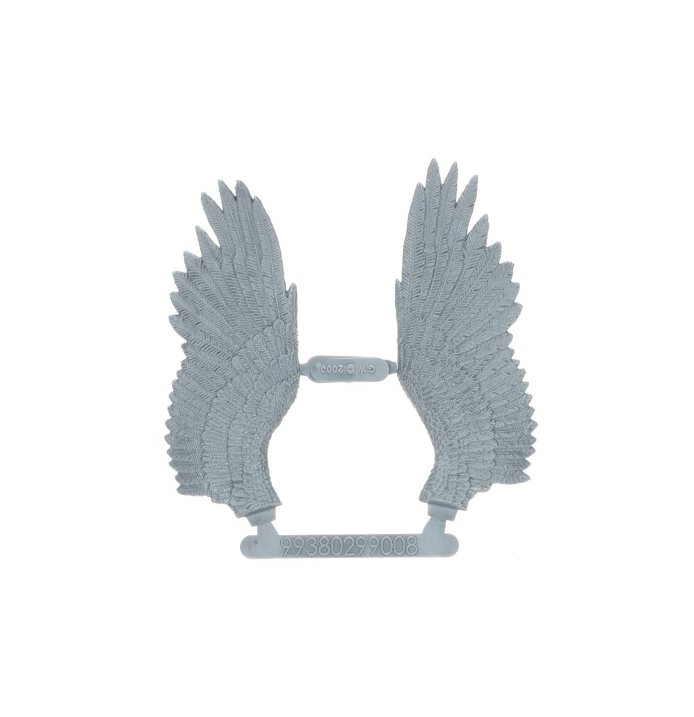 Kingdom of Bretonnia: Pegasus Knights