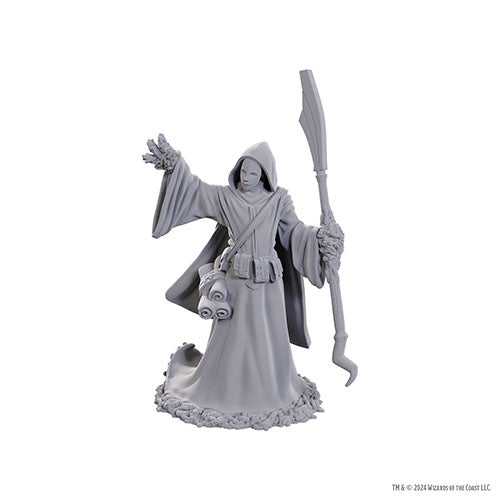 Wizkids - D&D Nolzurs Marvelous Miniatures: Wave 25 - Star Spawn Larva Mage