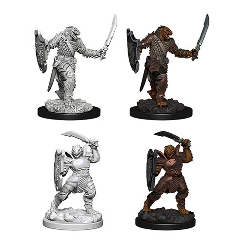 D&D Nolzur's Marvelous Miniatures: Dragonborn Female Paladin