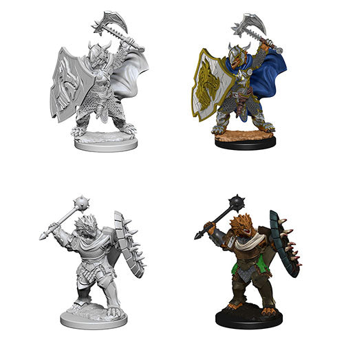 D&D Nolzur's Marvelous Miniatures: Dragonborn Male Paladin