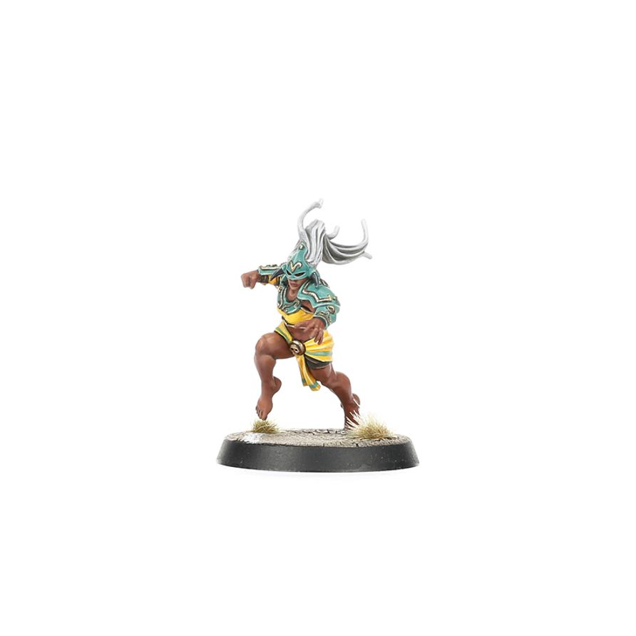 Blood Bowl: Amazon Team