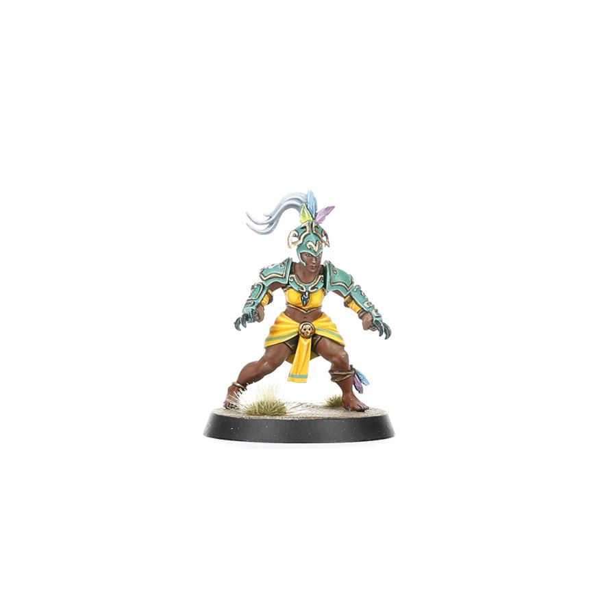 Blood Bowl: Amazon Team