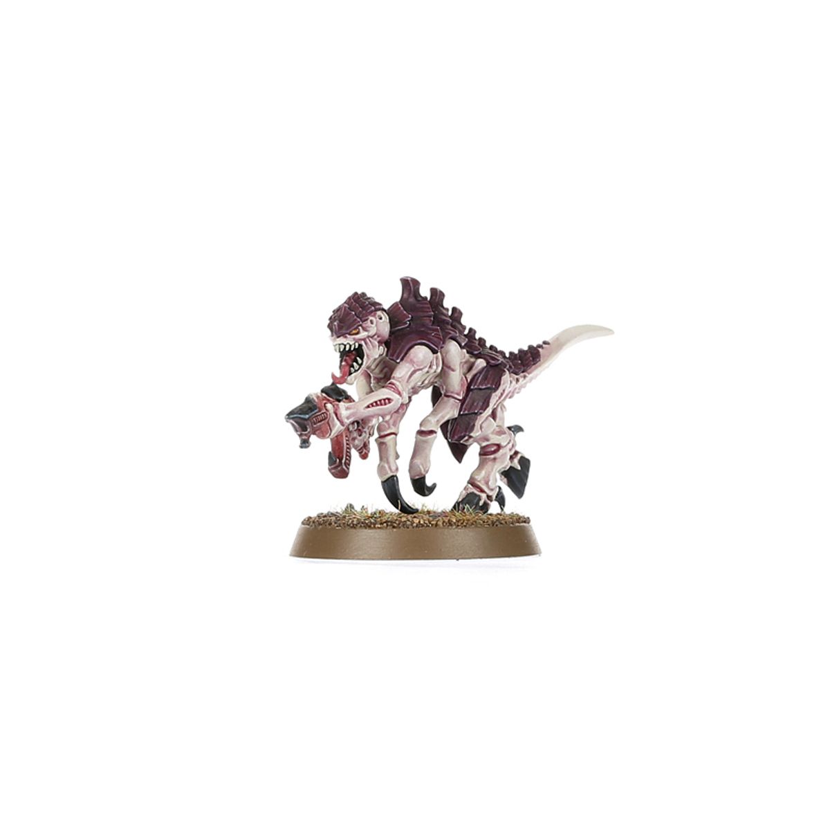 Warhammer 40,000: Starter Set