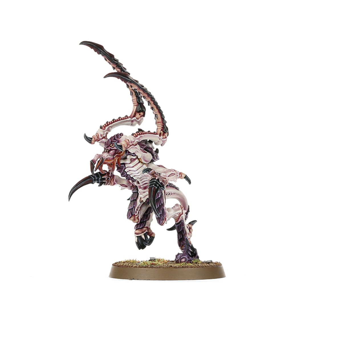 Warhammer 40,000: Starter Set