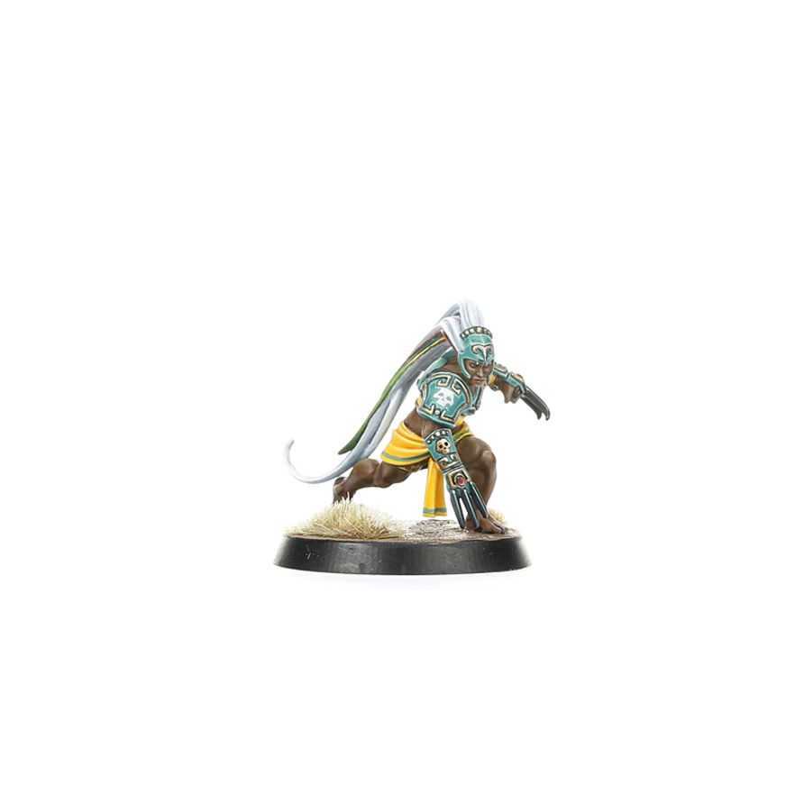 Blood Bowl: Amazon Team