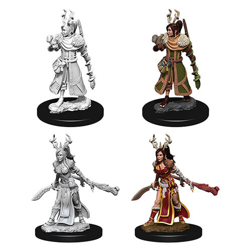 D&D Nolzur's Marvelous Miniatures: Female Human Druid