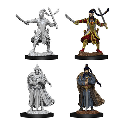 D&D Nolzur's Marvelous Miniatures: Male Elf Paladin