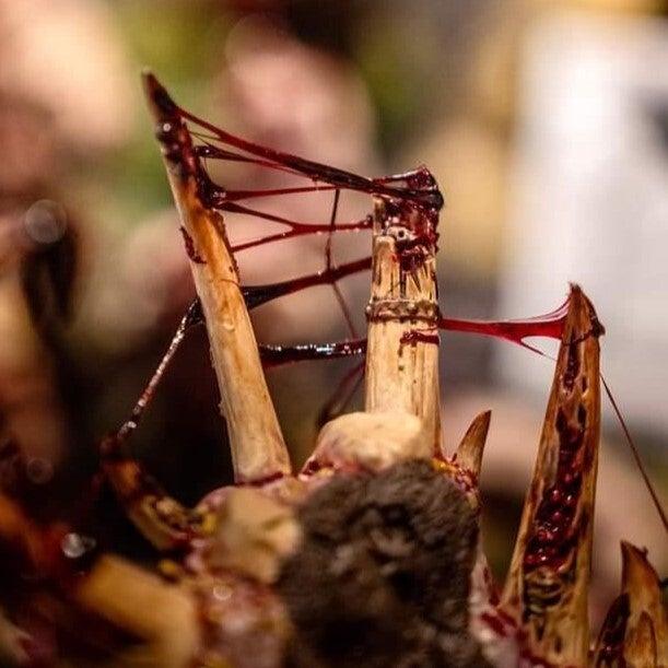 Dirty Down: Gore – 15ml