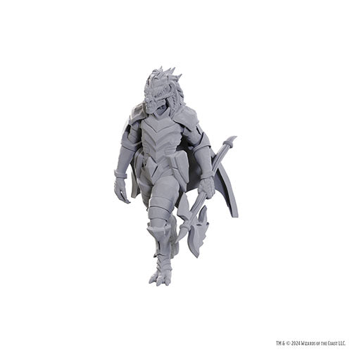 D&D Nolzur's Marvelous Miniatures: Wave 25 - Dragonborn of Tiamat