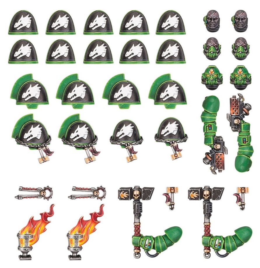 Salamanders: Upgrades and Transfers