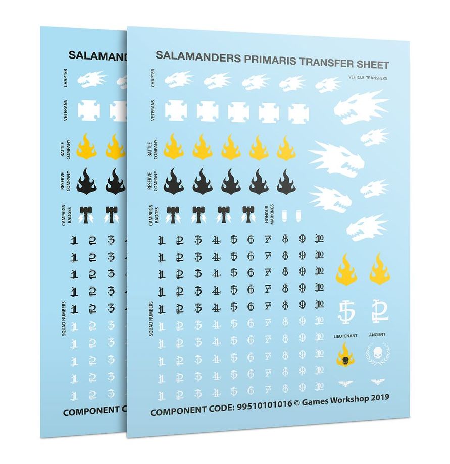 Salamanders: Upgrades and Transfers