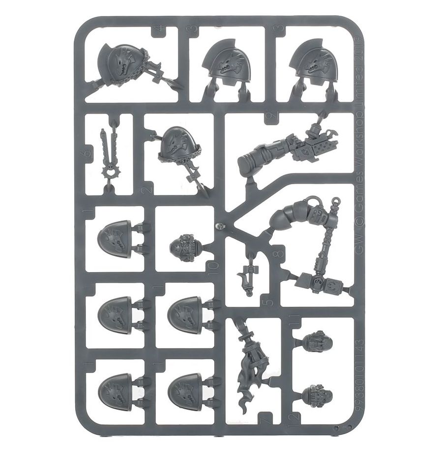 Salamanders: Upgrades and Transfers