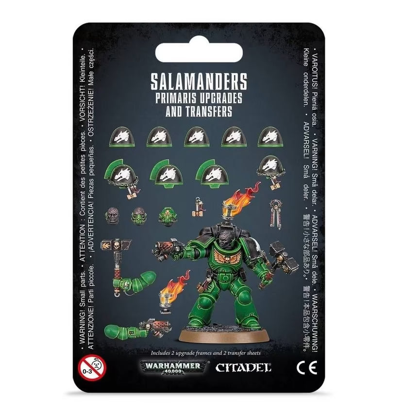 Salamanders: Upgrades and Transfers