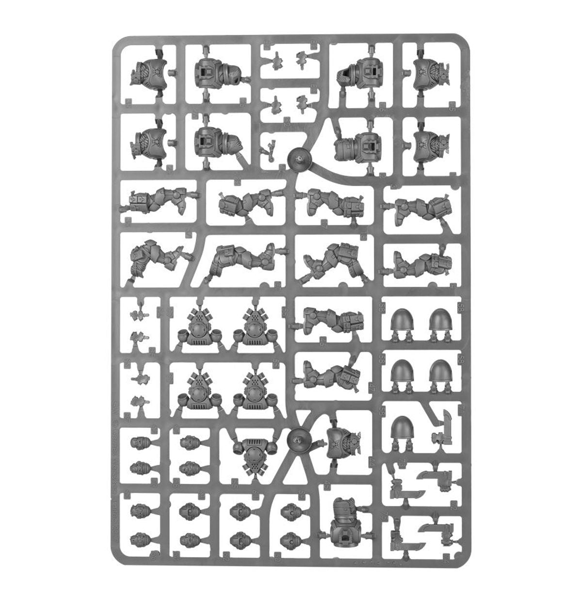 Space Marines: Reiver Squad