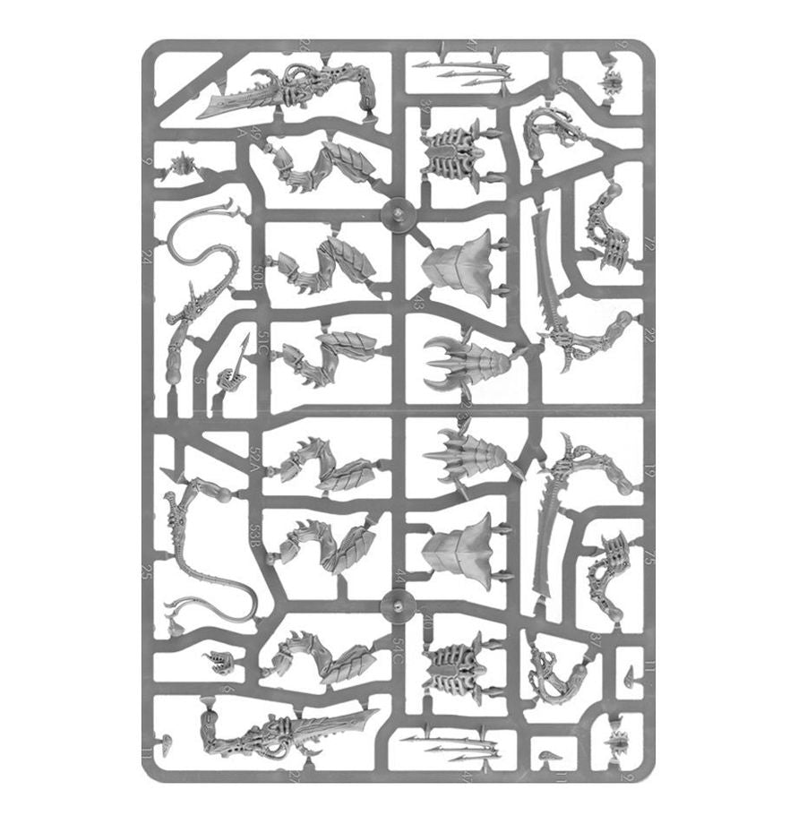 Tyranid: Warriors