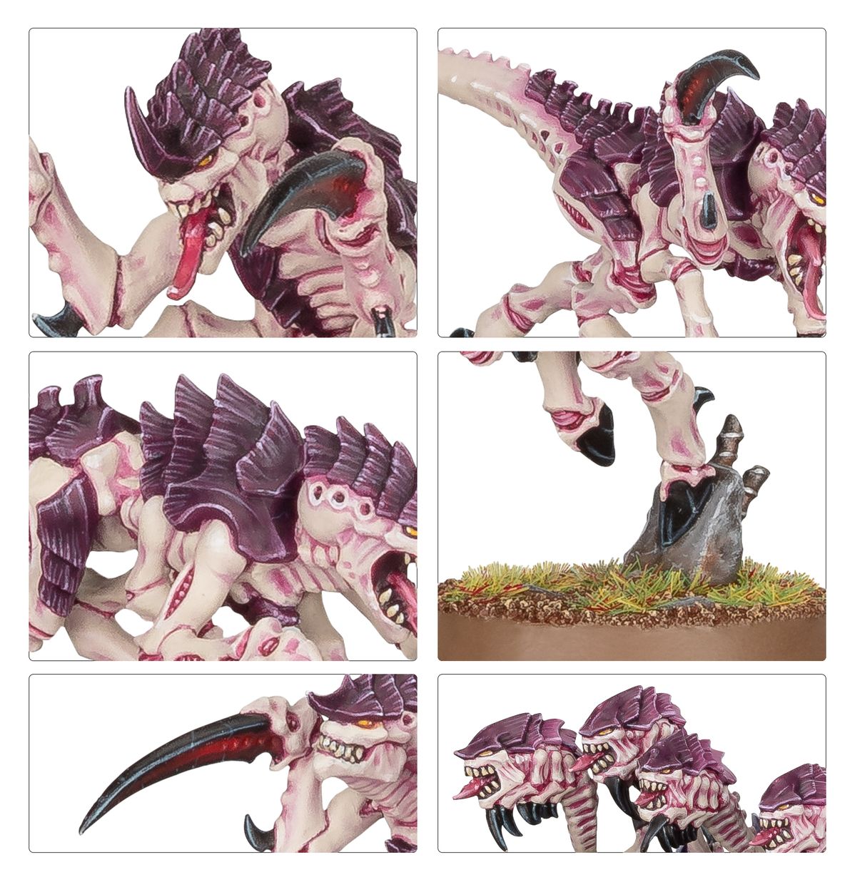 Tyranid: Hormagaunts
