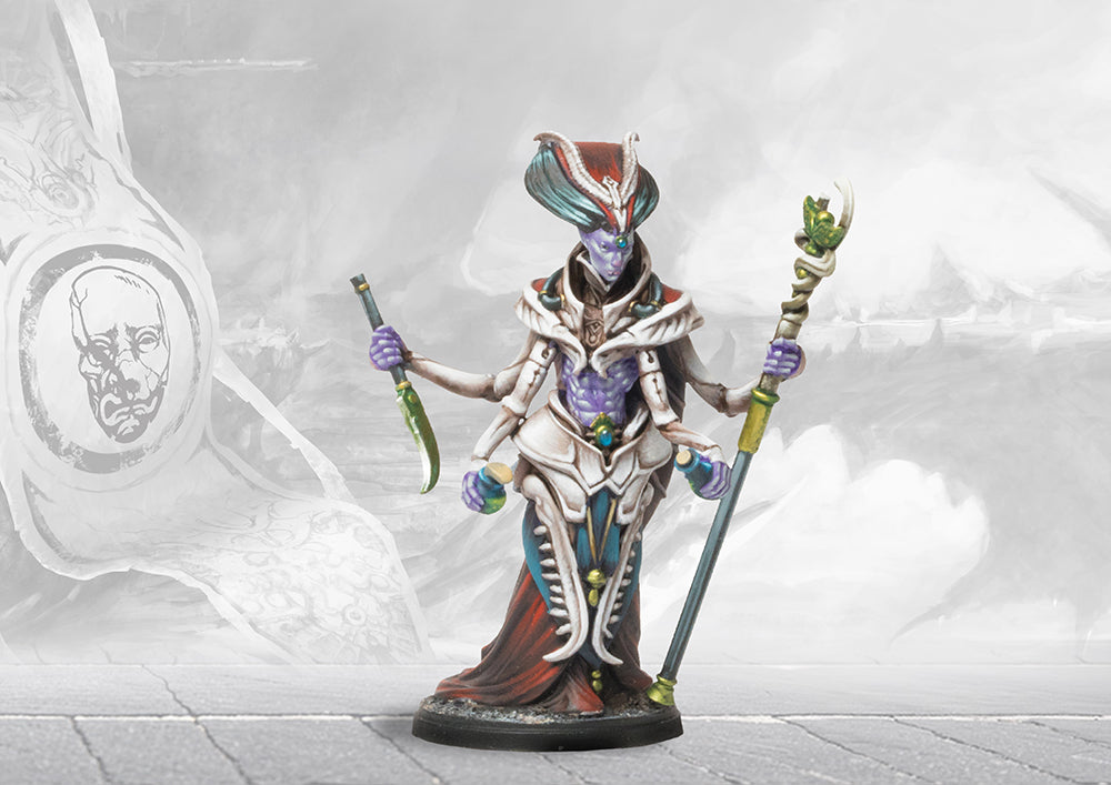 Conquest Two Player Deluxe Set - The Nepenthe Campaign