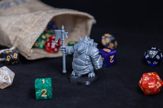 Tortle Armoured, 3D Printed Resin Miniature