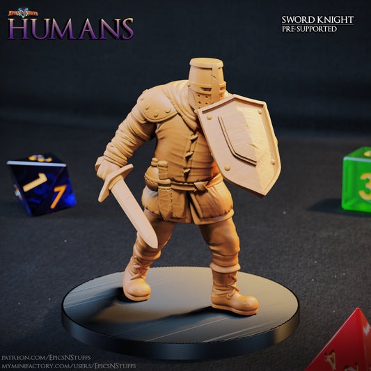 Sword Knight 1A Human, 3D Printed Resin Miniature