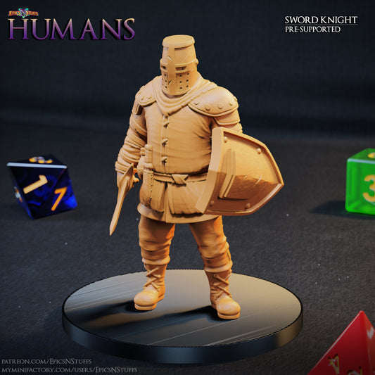 Sword Knight 1B Human, 3D Printed Resin Miniature