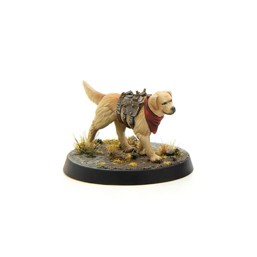 Fallout: - Wasteland Survivors Core Set
