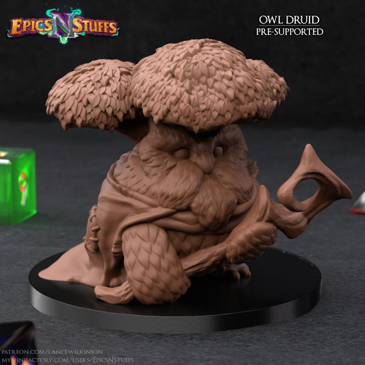 Owlkin Druid, 3D Printed,3D Printed Miniature