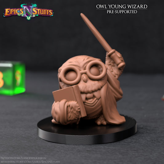 Young Owlkin Wizard, 3D Printed Resin Miniature