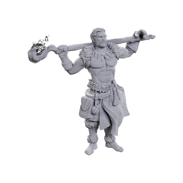 Wizkids - D&D Nolzurs Marvelous Miniatures: Archdruid & Martial Arts Adept - Wave 24