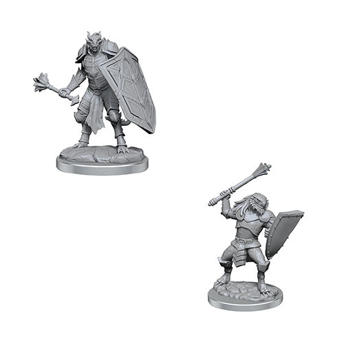D&D Nolzur's Marvelous Miniatures:  Dragonborn Clerics