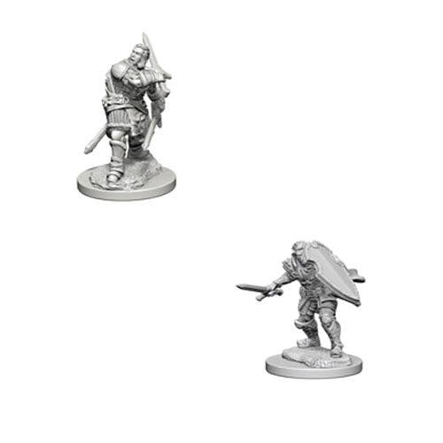 D&D Nolzur's Marvelous Miniatures: Human Male Paladin