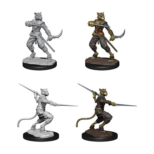 D&D Nolzur's Marvelous Miniatures: Male Tabaxi Rogue