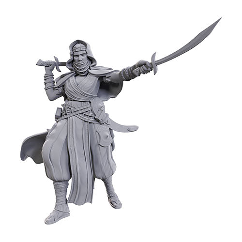 WizKids - Pathfinder Battles Deep Cuts: Desert Giant