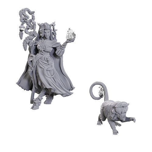 WizKids - Critical Role: Fearne Calloway & Mister