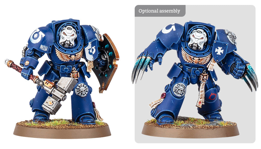 Space Marines: Battleforce: Crux Terminatus